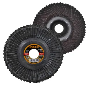 Flexible Disc P80 FD10031