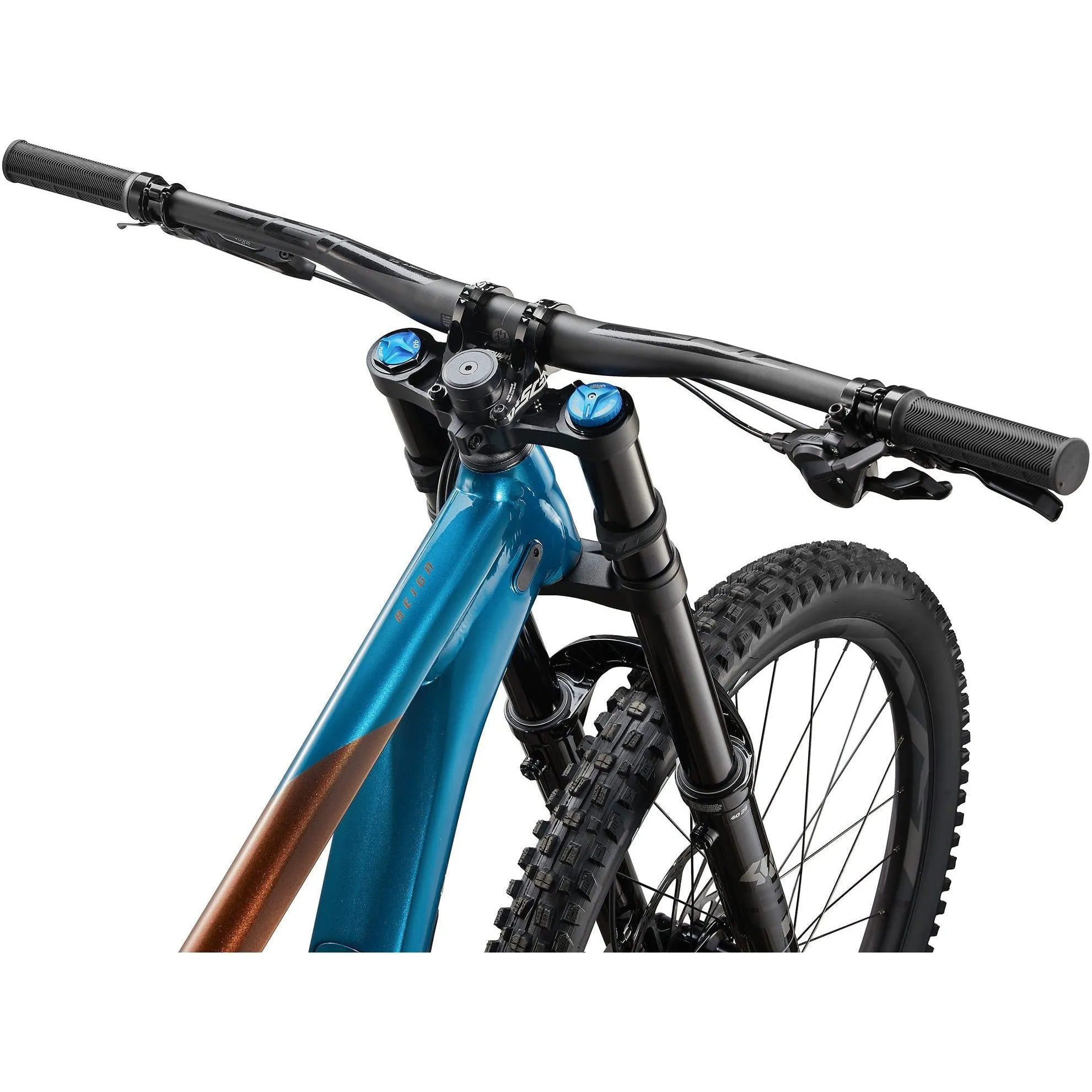 Giant 2024 Reign SX Mountain Bike