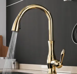 Gold Kitchen Tap with Pull-Out Flexible Spray