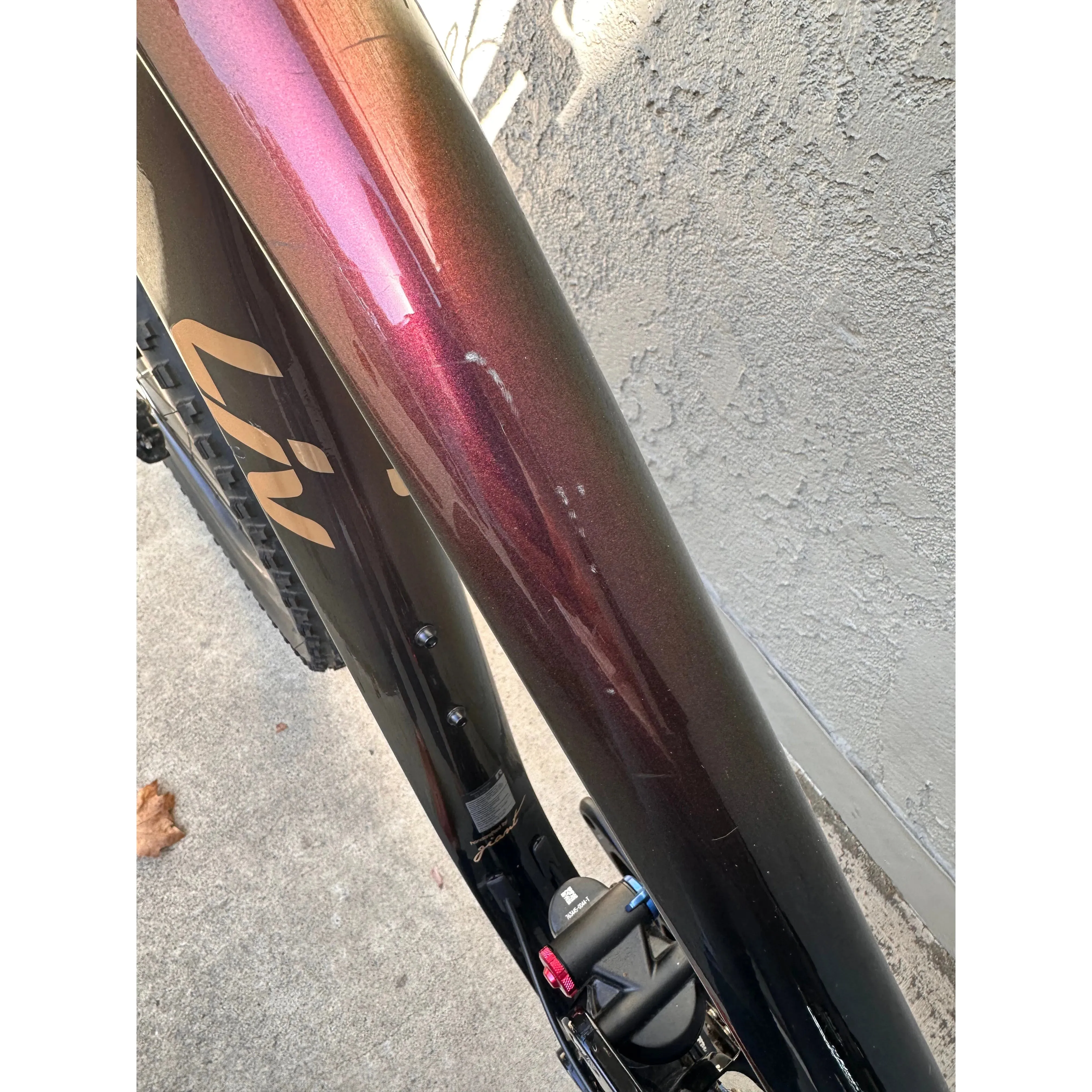 Liv Intrigue Advanced Pro 2 29 — BLEM