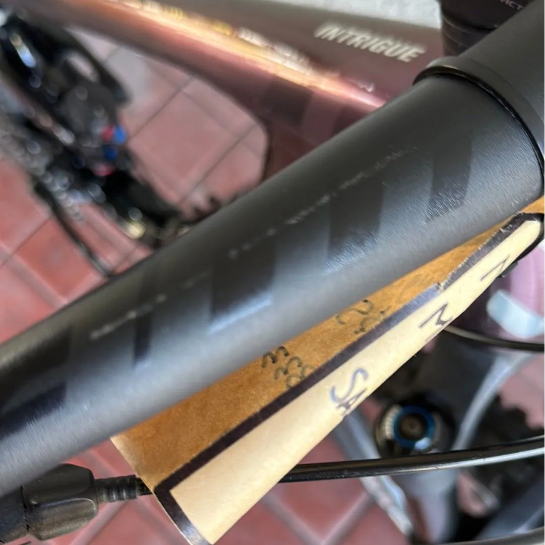 Liv Intrigue Advanced Pro 2 29 — BLEM