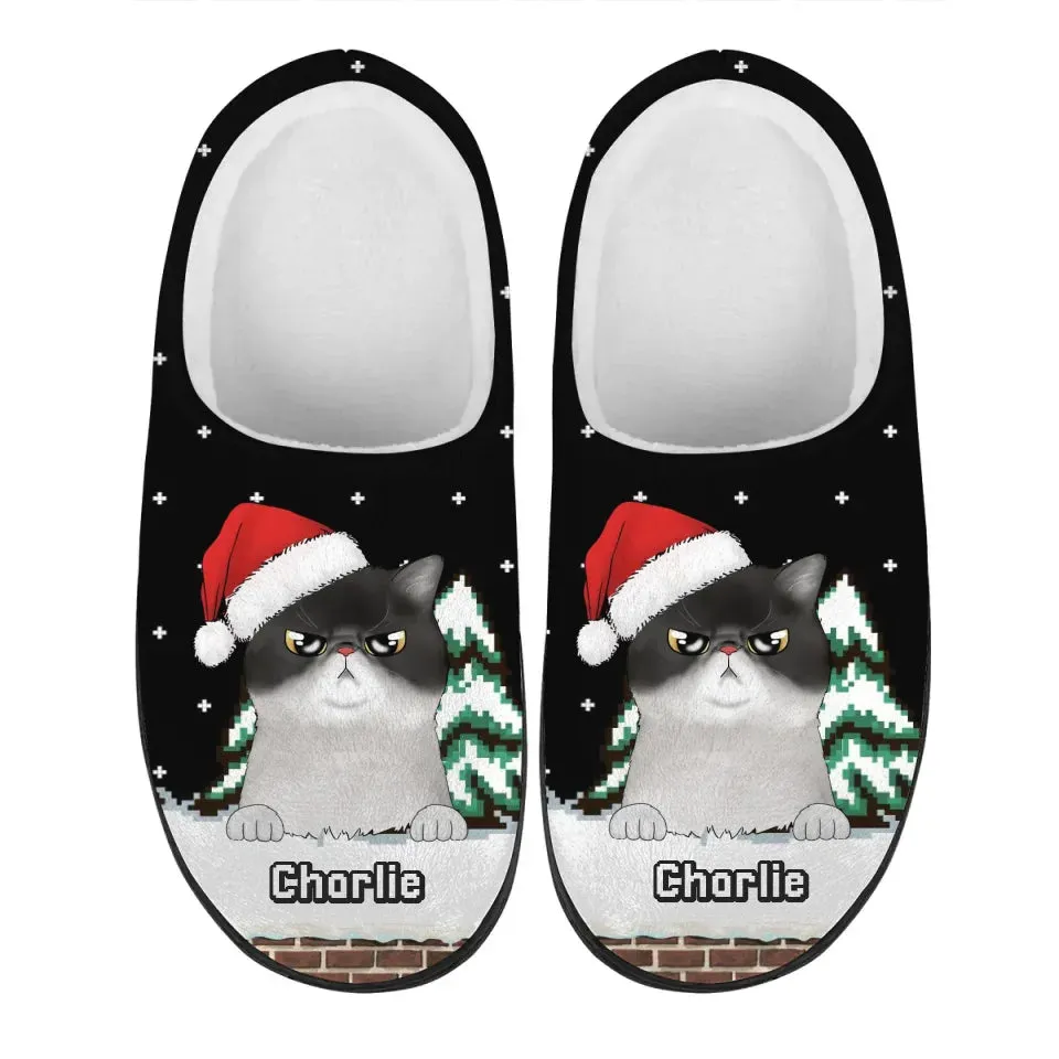 Personalized Pet Christmas Winter Holiday Slippers, Custom Unisex Plush Slippers, Gift For Pet Owners, Pet Lovers