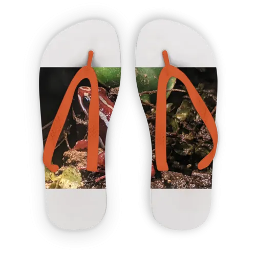 Red Frog Adult Flip Flops