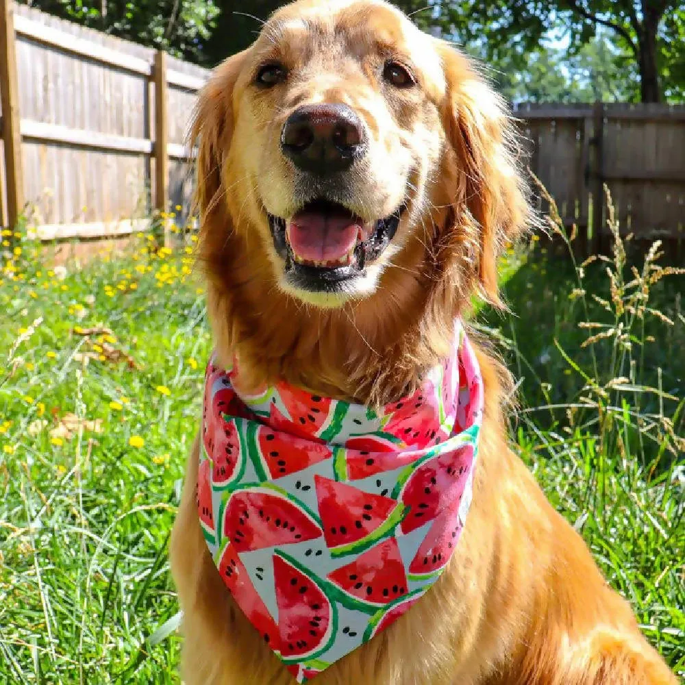 Tiny Watermelons Dog Bandana