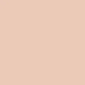 tombow dual-brush marker 850 - shell